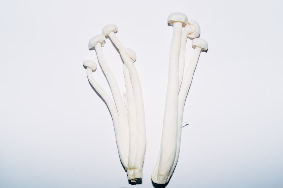 How to Grow Enoki: Complete Guide (Moderate, Hardwood sawdust)