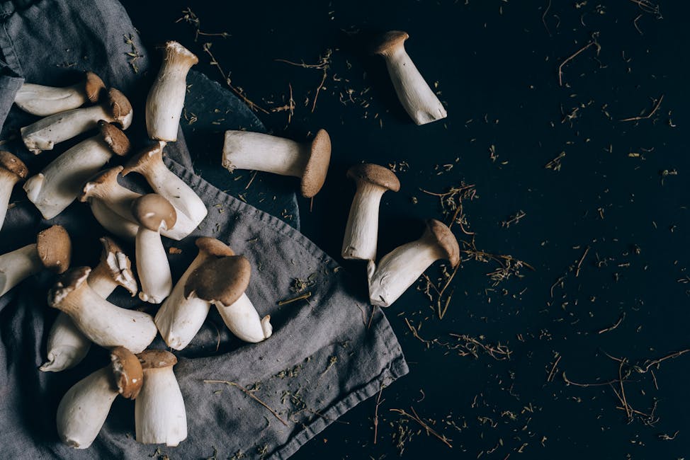 How to Grow King Oyster Mushroom: Complete Guide (Moderate, Hardwood sawdust)